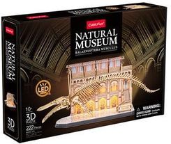 Zdjęcie Cubic Fun Puzzle 3D Led Natural Museum Płetwal Błękitny L545H 222 El. - Bolesławiec