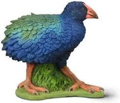 Zdjęcie Collecta Takahe Południowy - Chojna