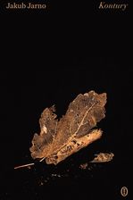 Zdjęcie Kontury - Golub-Dobrzyń