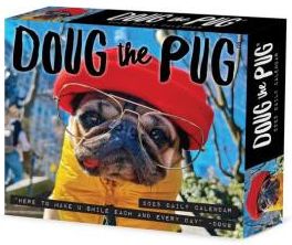 Doug the Pug 2026 5.4 X 6.2 Box Calendar-USA - Literatura obcojęzyczna ...