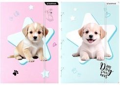 Zdjęcie Starpak Teczka Z Gumką A4 Pieski Mix - Solec Kujawski