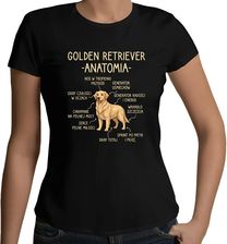 Zdjęcie Golden retriever - anatomia - damska koszulka na prezent - Radlin