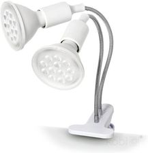 Zdjęcie Kobi Lampka Biurkowa Planty Clip W Duo 2Xe27 Biała Design - Świebodzice