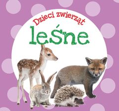 Zdjęcie Dzieci zwierząt - leśne  - Gorzów Wielkopolski