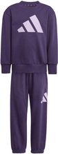 Zdjęcie adidas Uniseks - dzieci ESSENTIALS JOGGER, Aurora Plum/Powder Plum, 6-7 Years - Nowe Miasteczko