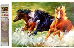 Zdjęcie Swede Mozaika Diamentowa Galopujące Konie M50776 - Wrocław