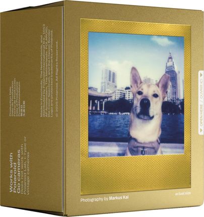 Кольорова плівка Polaroid для Go - Золота рамка - Подвійний пакет - фото 4