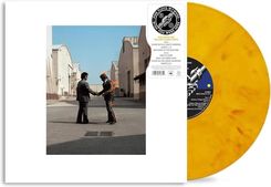 Zdjęcie Pink Floyd - Wish You Were Here (Color) (Winyl) - Sieradz