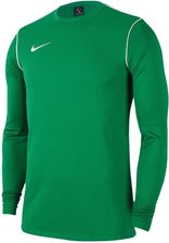 Zdjęcie Bluza Nike Park 20 Crew Top FJ3004-302 - Zwoleń