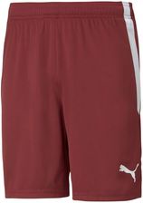 Zdjęcie Spodenki Puma teamLIGA M 704924 09 - Supraśl