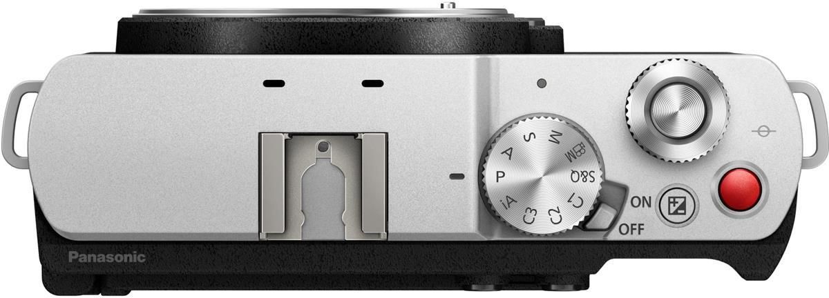 Aparat cyfrowy Bezlusterkowiec Panasonic Lumix S9 Srebrny (DCS9ESA