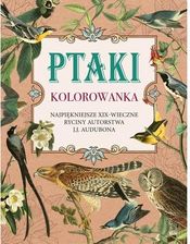 Zdjęcie Buchmann Ptaki. Kolorowanka Antystresowa. Najpiękniejsze Xix Wieczne Ryciny Autorstwa J.J. Audubona - Gniezno