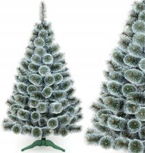 Zdjęcie Choinka SASKA GARDEN Klara 589454 200 cm - Cedynia