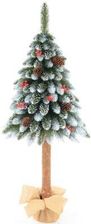 Zdjęcie Choinka na pniu SASKA GARDEN 100 cm Jodła diamentowa + szyszki + Jarzębina - Woźniki