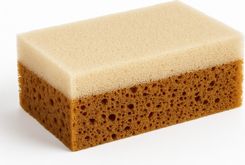 Zdjęcie S.I.T (System Intelligent Technology) Gąbka Do Owadów Dwustronna (226852) - Radom