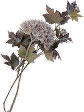 Zdjęcie House Nordic Bukiet King Protea 75Cm - Sandomierz