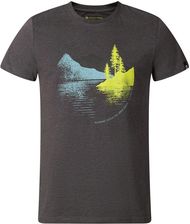 Zdjęcie Alpine Pro Koszulka Męska Bawełniana Bolen Szare - Łapy