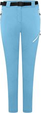 Zdjęcie Dare 2B Damskie Spodnie Trekkingowe Softshell Melodic Pro - Lipsko