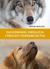 Zdjęcie Zachowanie, ewolucja i procesy poznawcze psa  - Łabiszyn