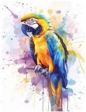 Zdjęcie Malowanie Po Numerach 40X50Cm Papuga (728071) - Pieniężno