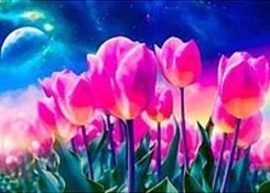 Zdjęcie Adar Mozaika Diamentowa Tulipany 30X40Cm 1867107959 - Brzesko