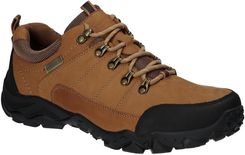 Zdjęcie American Club Cy137 Brown - Grodzisk Mazowiecki