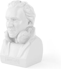 Zdjęcie Donkey Skarbonka Mozart (2589804) - Dobczyce