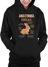 Zdjęcie Anatomia królika - dziecięca bluza na prezent - Sośnicowice