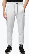 Zdjęcie Spodnie męskie Pitbull Small Logo HD Track grey/melange - Wołomin