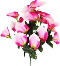Zdjęcie Goliat Bukiet 12 Anturium W Kolorze Różowym - Piła