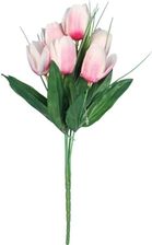 Zdjęcie Goliat Bukiet 6 Tulipanów Z Trawką 34cm Jasno Różowy - Piła