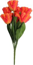 Zdjęcie Goliat Bukiet 7 Tulipanów Papuzich 54cm Pomarańczowy - Trzcianka