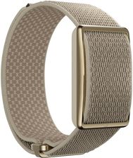 Zdjęcie Polar Loop Szaro-Złoty S-L - Włocławek