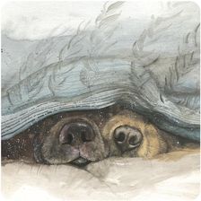 Zdjęcie Alex Clark Podkładka Pod Kubek C166 Noski Psów - Kozienice