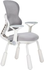 Zdjęcie Spacetronik Ergonomiczne Krzesło Xd Spc-Xd16C Szary - Poniec