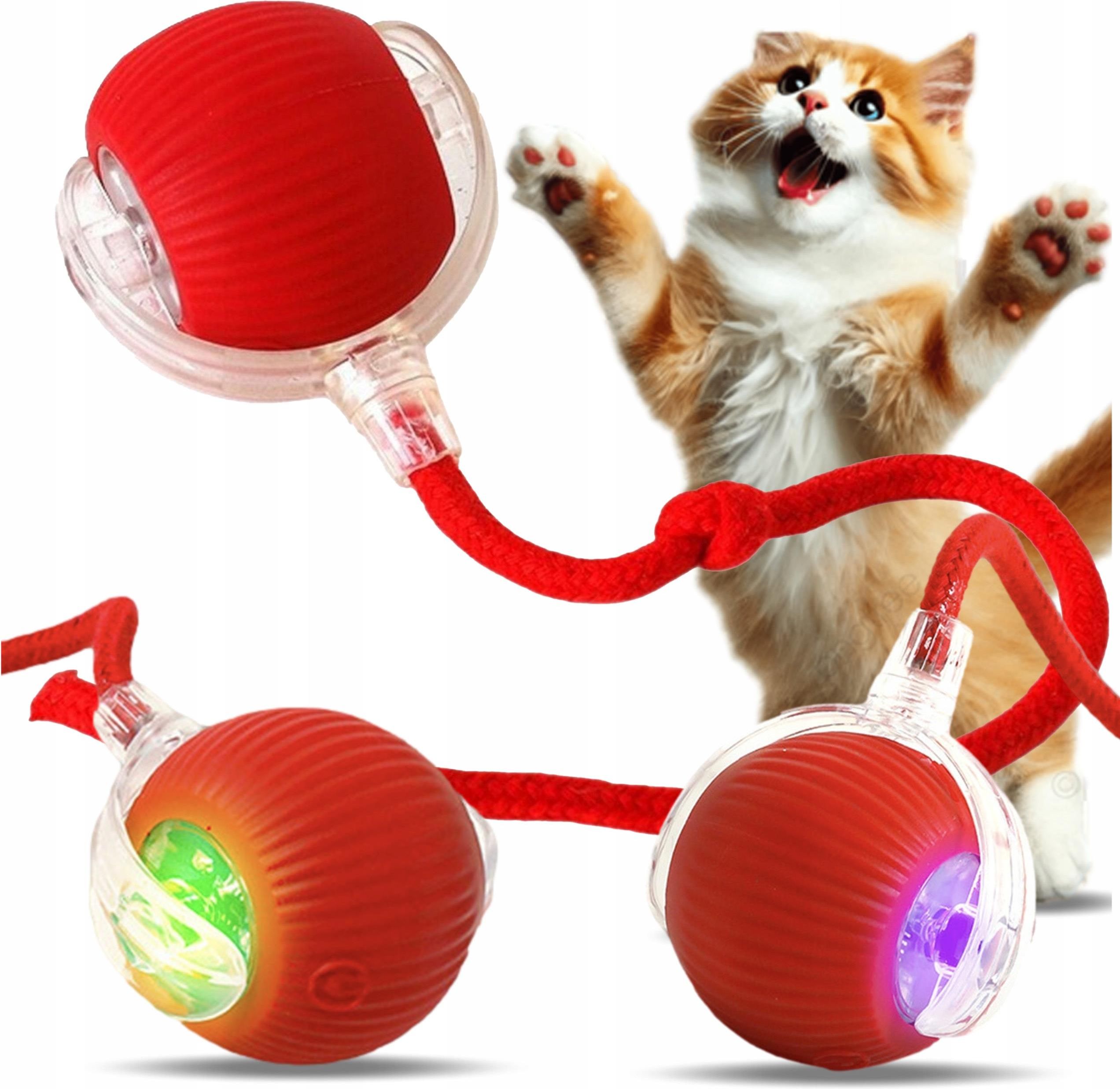 Jouet Interactif Pour Chat Suspendu à La Porte - Souris En Peluche, Mouvement Automatique