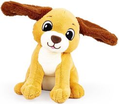 Zdjęcie Dumel Uszaty Piesek Rafi - Skawina