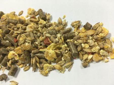 Likopasz Pasza Musli Dla Koni Bezowsowe 20Kg Zboża Mikronizowane