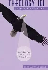 Theology 101 in Bite-Size Pieces: A Bird's Eye View of the Riches of Divine Grace