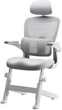 Zdjęcie Spacetronik Ergonomiczne Krzesło Dziecięce Spc-Xd14C Szare - Puszczykowo