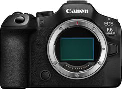 Zdjęcie Canon EOS R6 Mark III body - Jasień