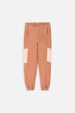 Zdjęcie Spodnie dresowe Lemon Explore - Końskie