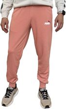 Zdjęcie Spodnie Do Joggingu Męskie Logo ESS+ - Legnica