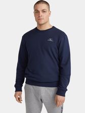 Zdjęcie Sweter Męski O'Neill Small Logo Crew - Pszów