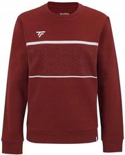 Zdjęcie Bluza dziecięca lifestyle Tecnifibre Team Sweater - Nowogard