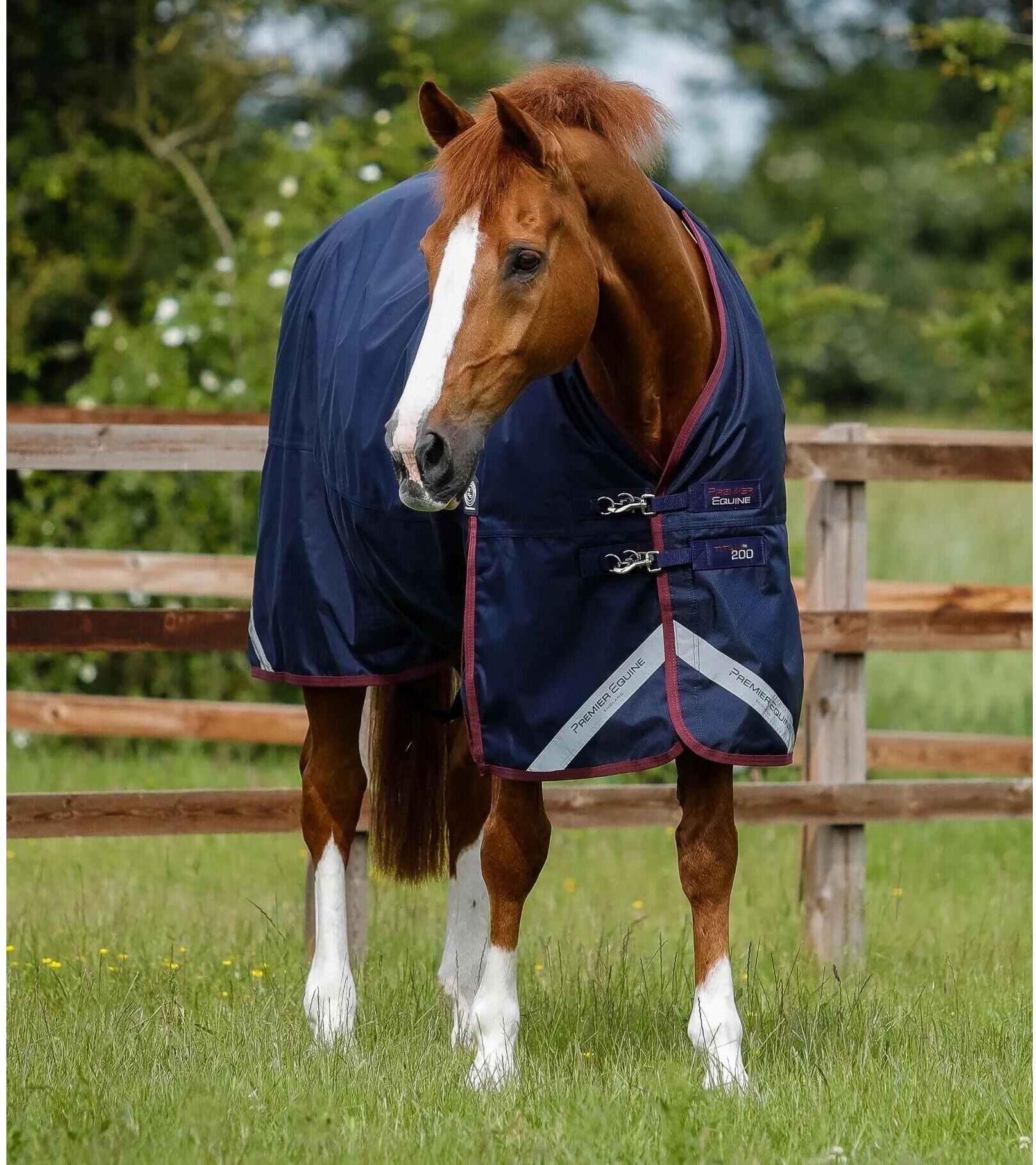 Premier Equine Titan 100 g - acquista su