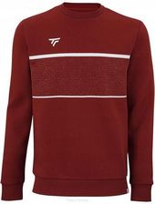 Zdjęcie Bluza dziecięca Tecnifibre Team Sweater - Olsztyn
