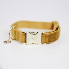 Zdjęcie Kentucky Horsewear Obroża Dla Psa Kentucky Velvet F5B27A703EF84E9493E989EAB2D93AEA - Włocławek