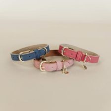 Zdjęcie Kentucky Horsewear Obroża Dla Psa Z Wegańskiej Skóry Kentucky 30020696EE09487FAE844E37ACE489F9 - Sianów