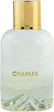 Zdjęcie Sorvella Perfume Mountain Charles Woda Perfumowana 10ml - Kruszwica